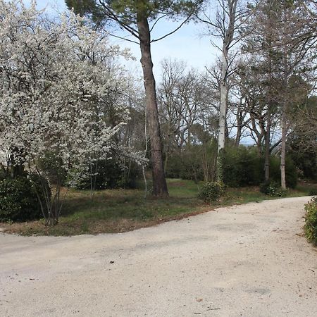 Bed and Breakfast Ermitage Notre Dame De Vacquieres Noves Esterno foto