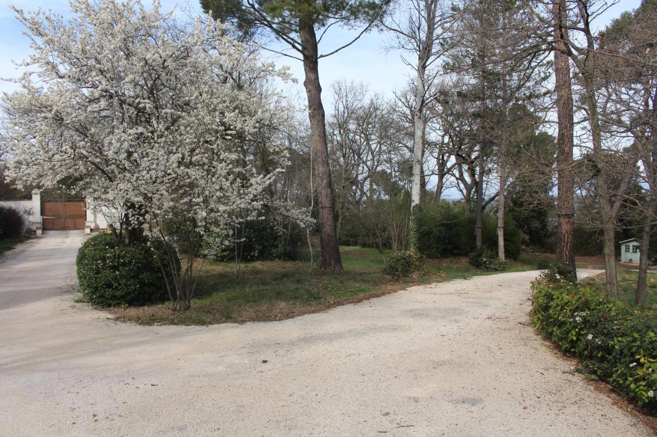 Bed and Breakfast Ermitage Notre Dame De Vacquieres Noves Esterno foto